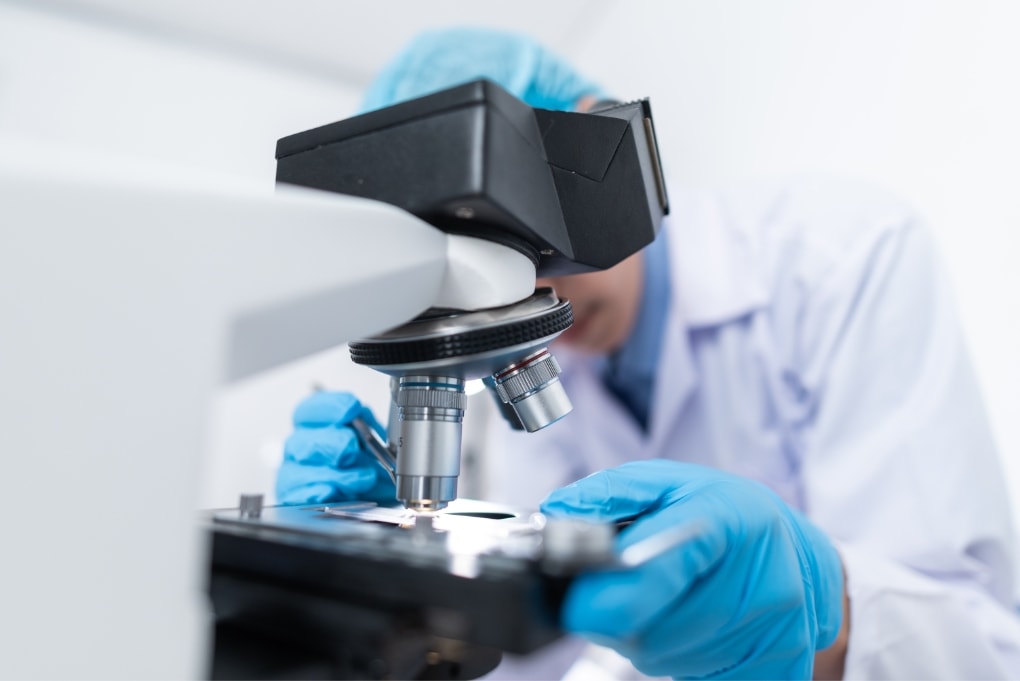 mediquest-lab
